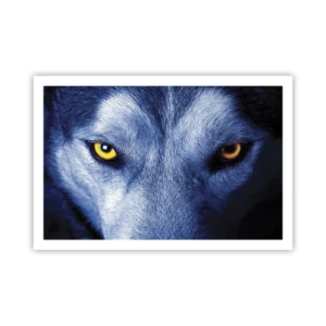 Poster - Betoverende look - 91x61 cm