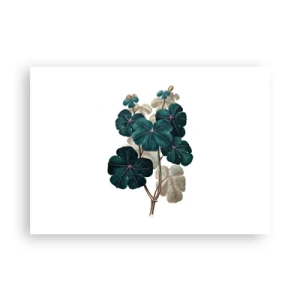 Poster - Uit het oude herbarium - 100x70 cm