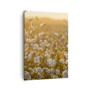 Schilderen op canvas - Pluizig veld - 50x70 cm