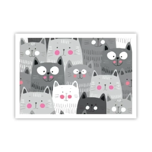 Poster - De wereld van de kat - 100x70 cm