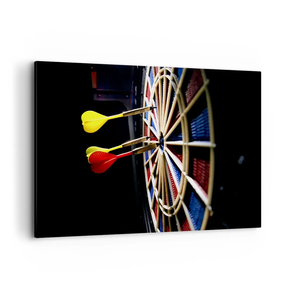Schilderen op canvas - De spikerop de kop - 120x80 cm