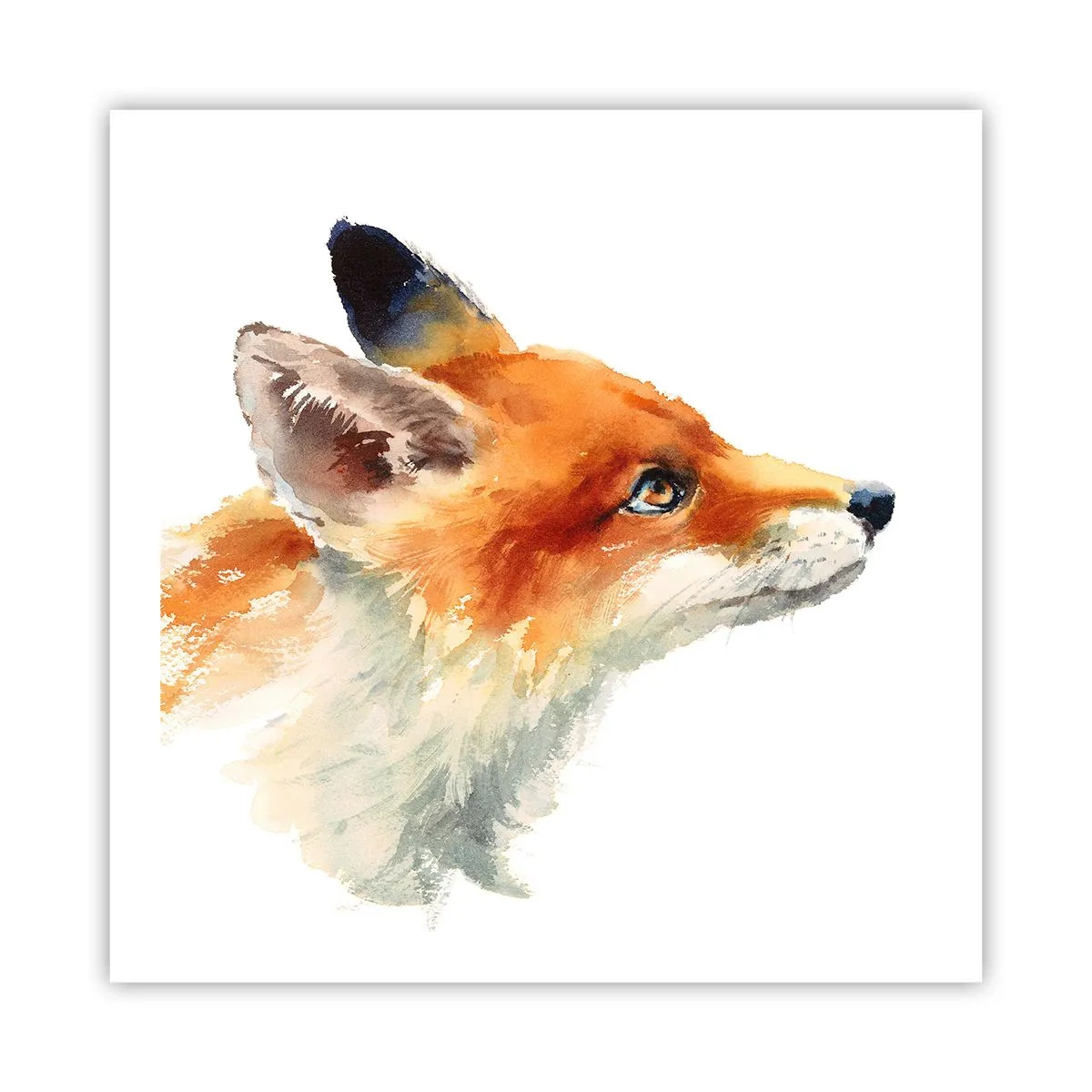 Poster - Je kunt nooit voorzichtig genoeg zijn - 60x60 cm