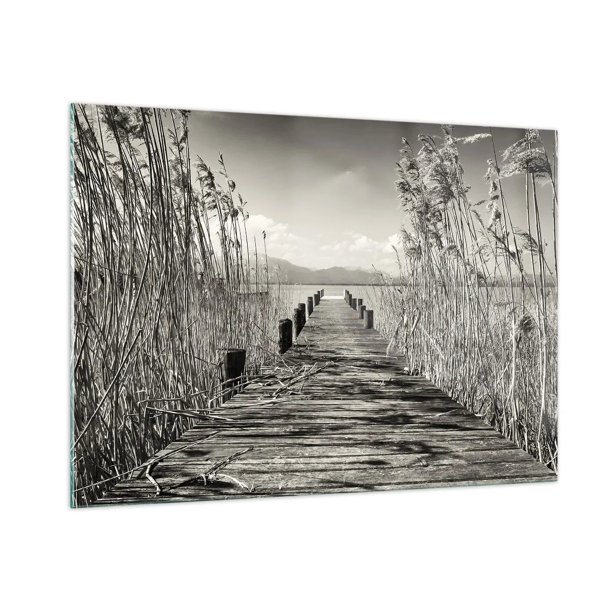 Schilderen op glas - In de stilte van het gras - 100x70 cm