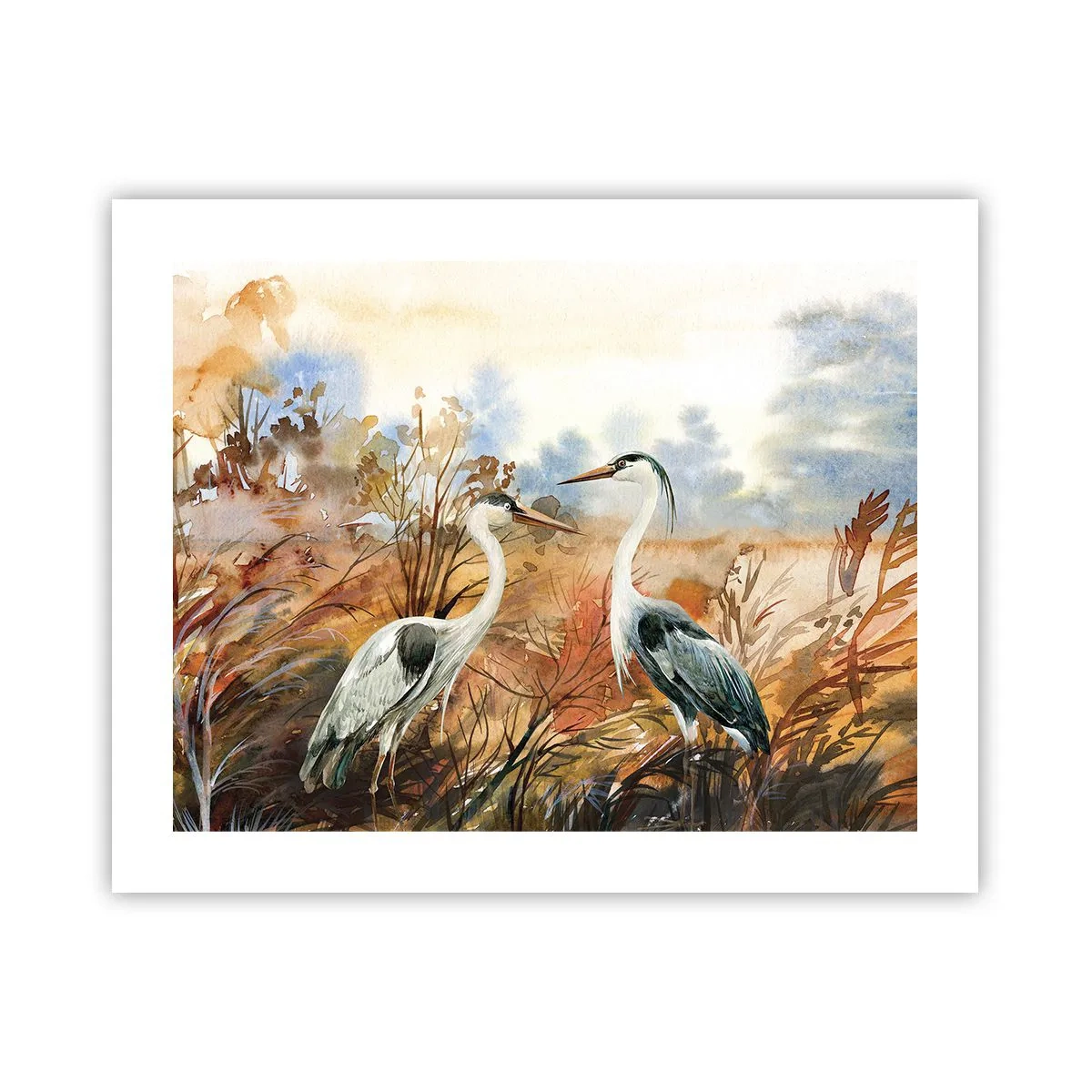 Poster - Waarheen in de herfst? - 50x40 cm