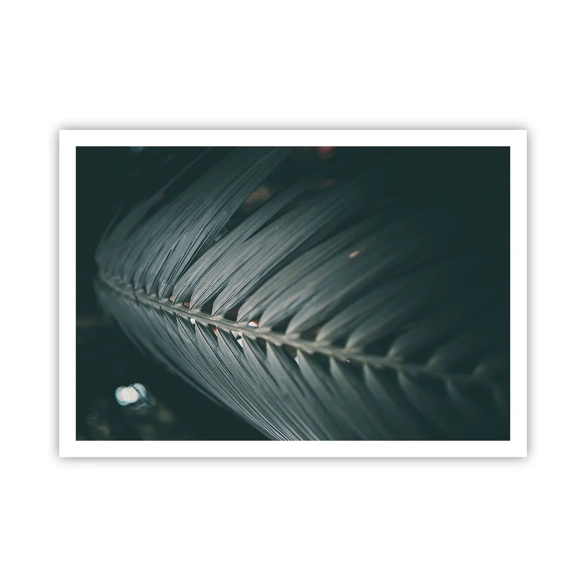 Poster - De precisie van de natuur - 100x70 cm