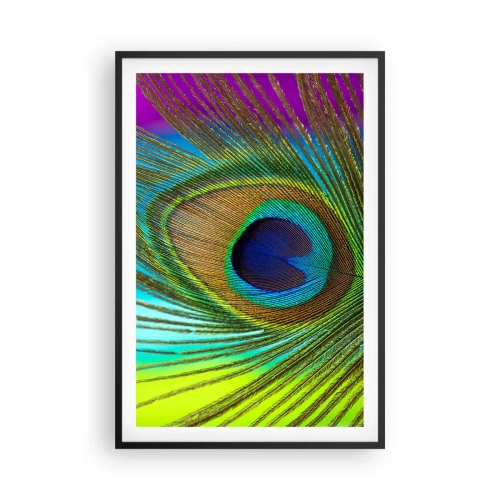 Poster in een zwarte lijst - Oog in oog - 61x91 cm
