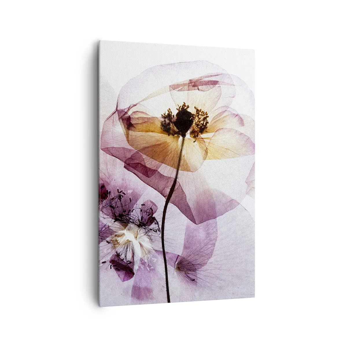 Schilderen op canvas - Transparante lichaamsbloemen - 80x120 cm