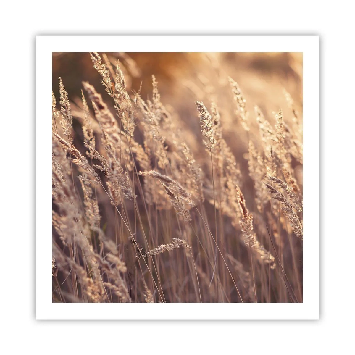 Poster - Klaar om de herfst te verwelkomen - 60x60 cm