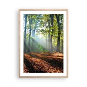 Een poster in een licht eiken lijst - Lichten en schaduwen - 50x70 cm