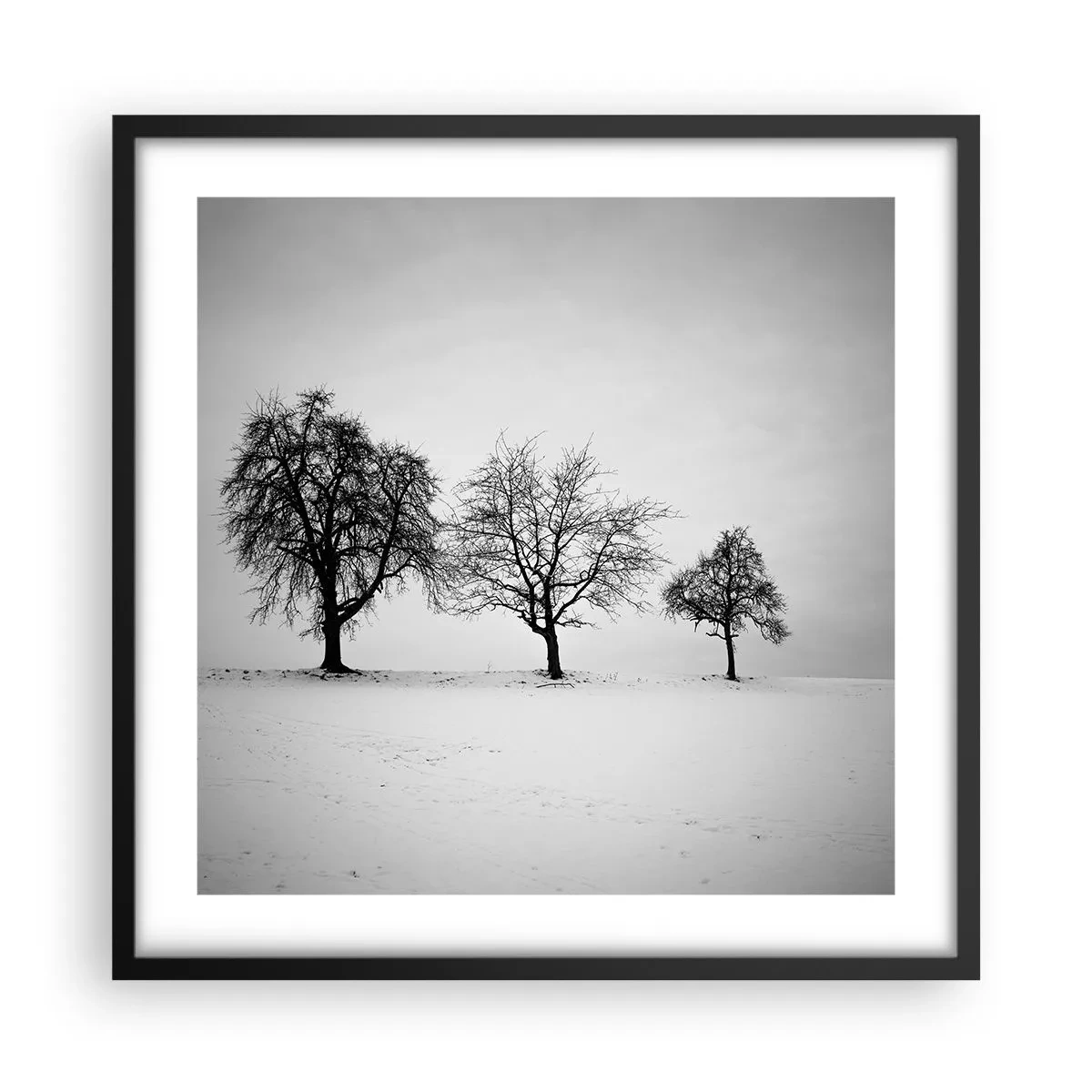 Poster in een zwarte lijst - Waar dromen ze over? - 50x50 cm