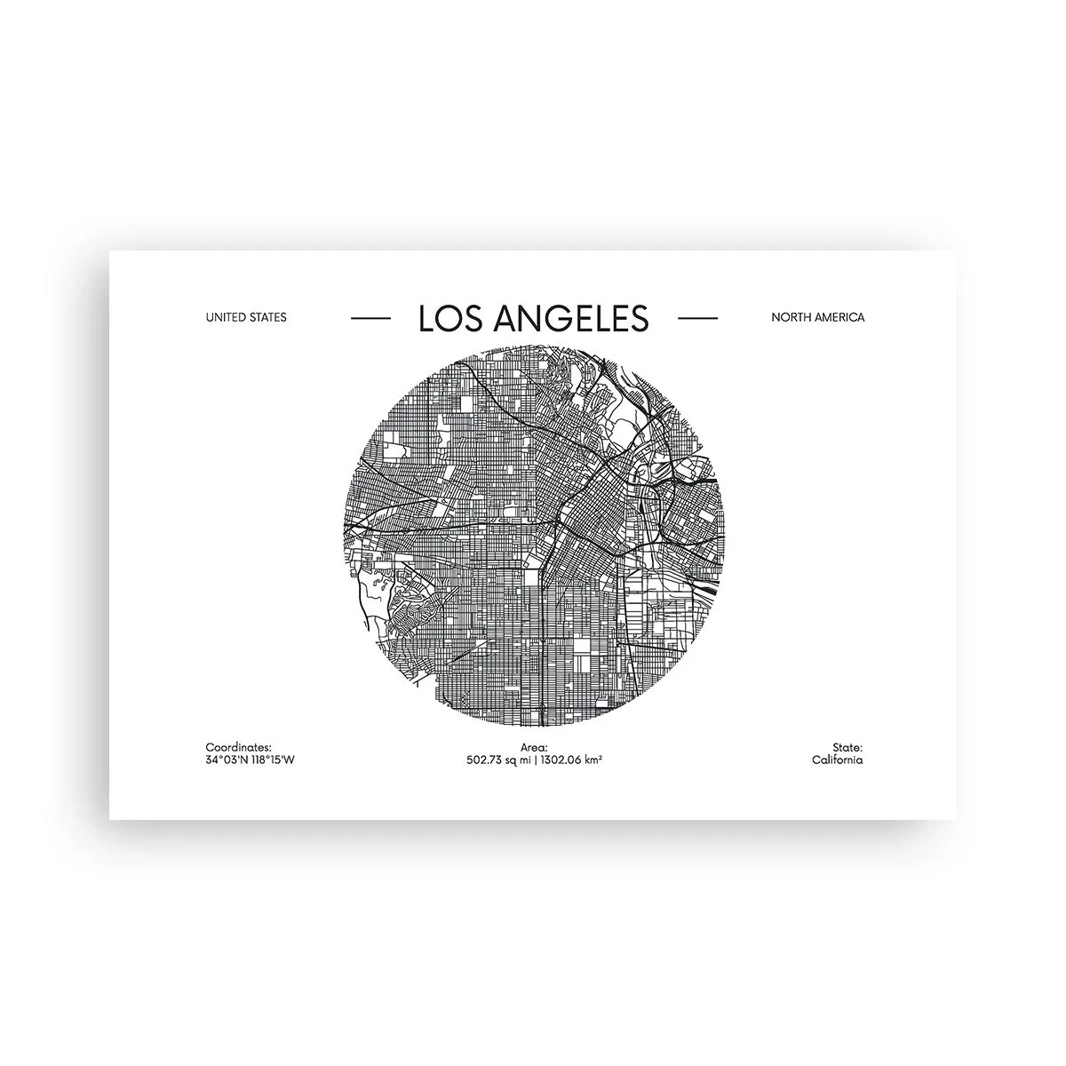 Poster - Anatomie van Los Angeles - 91x61 cm