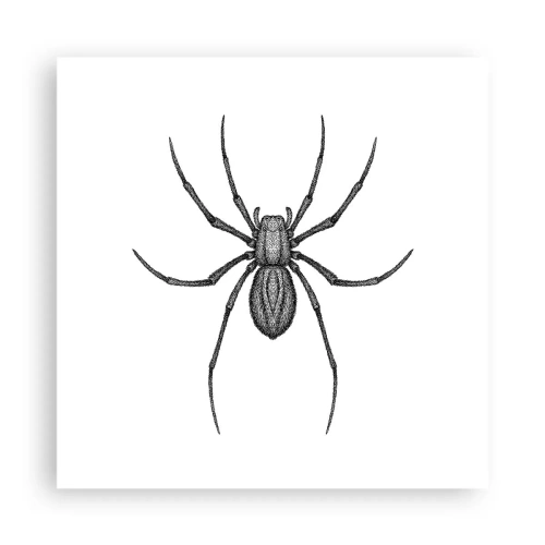 Poster - Verontrustende precisie - 40x40 cm