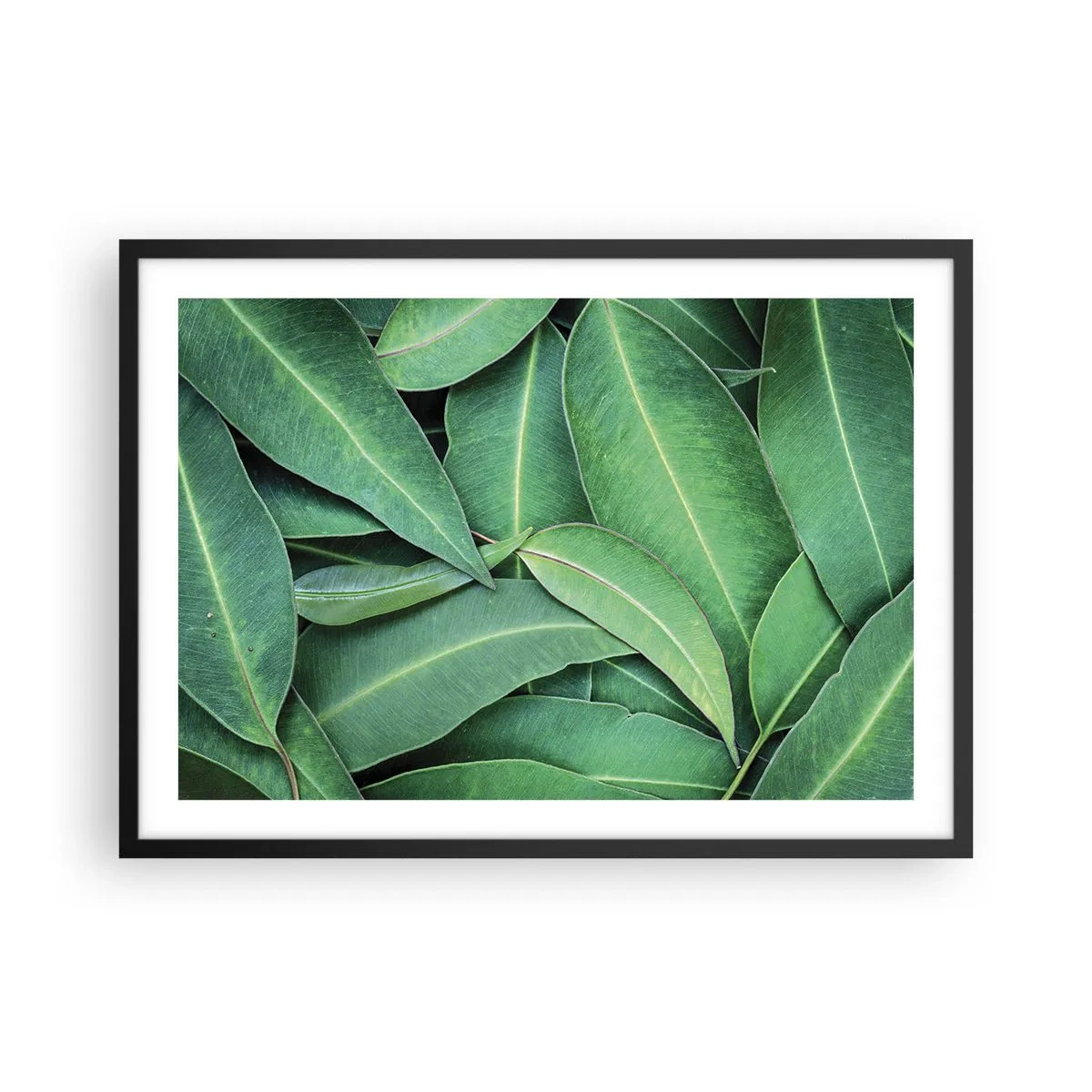 Poster in een zwarte lijst - Sappig en fris - 70x50 cm