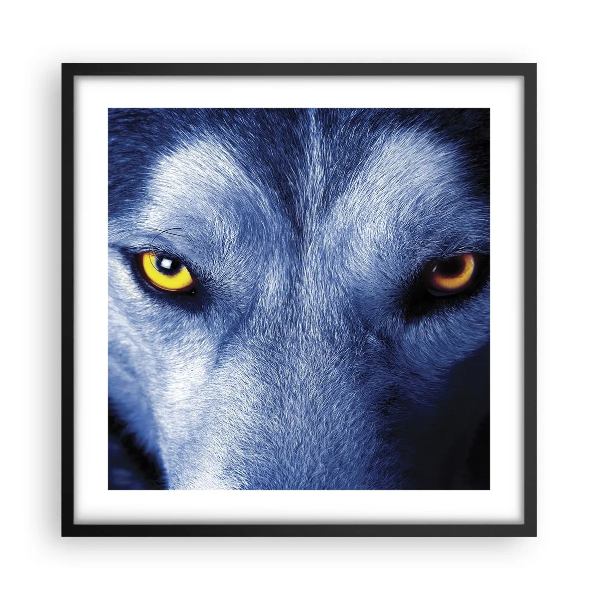 Poster in een zwarte lijst - Betoverende look - 50x50 cm