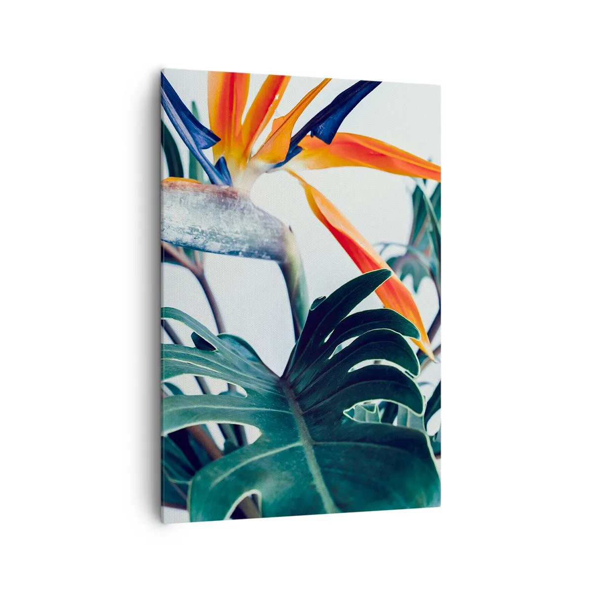 Schilderen op canvas - Vogelstruik - 70x100 cm