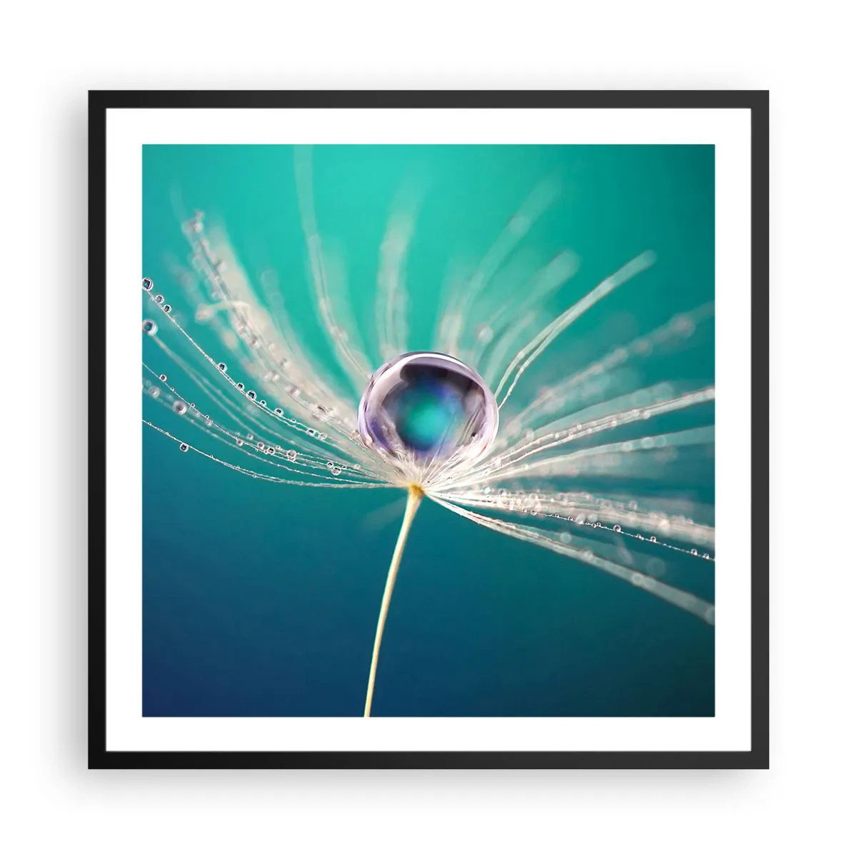 Poster in een zwarte lijst - Mystiek moment - 60x60 cm