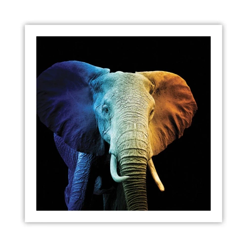 Poster - Excentriek, niet raar - 60x60 cm