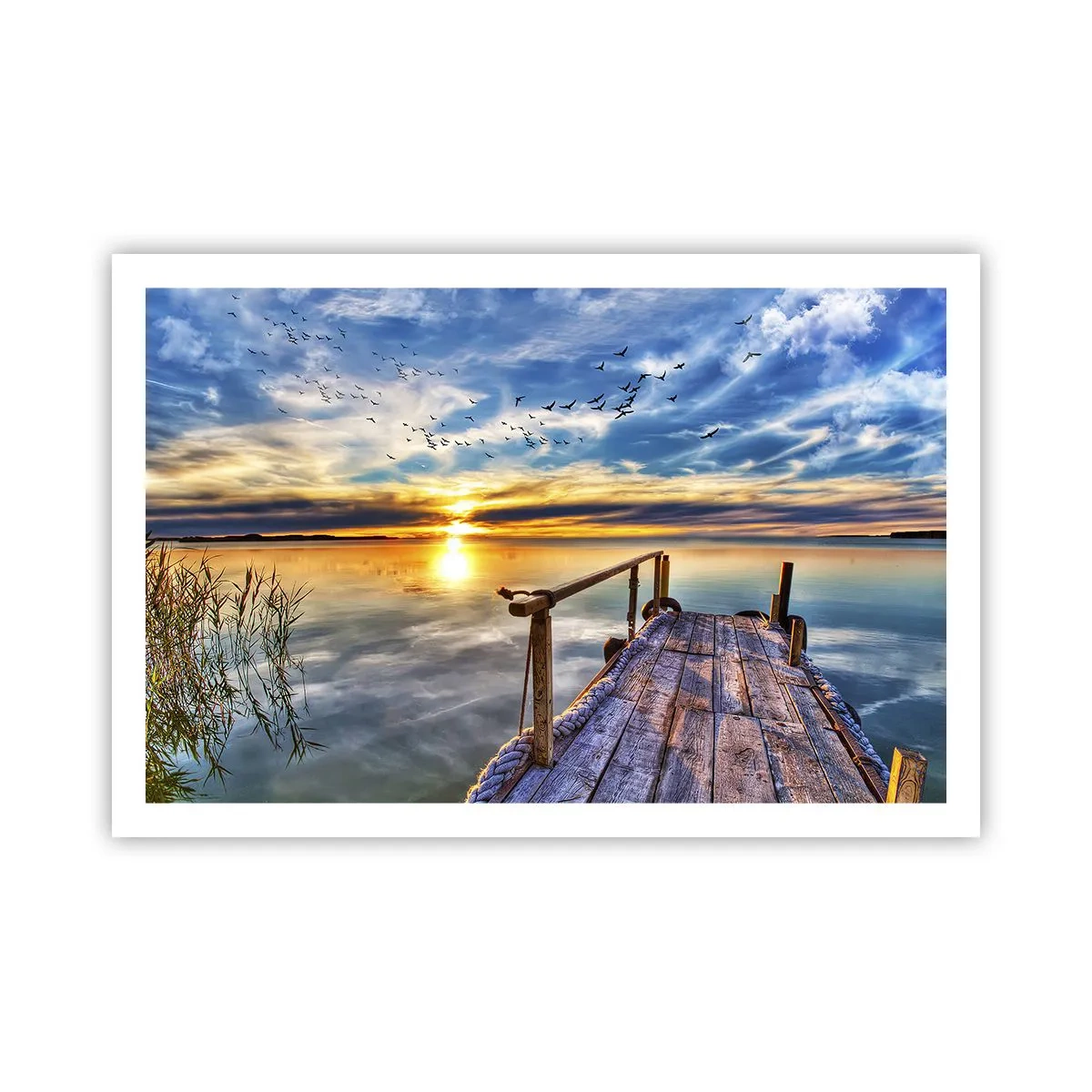 Poster - De wind gaat rusten - 91x61 cm