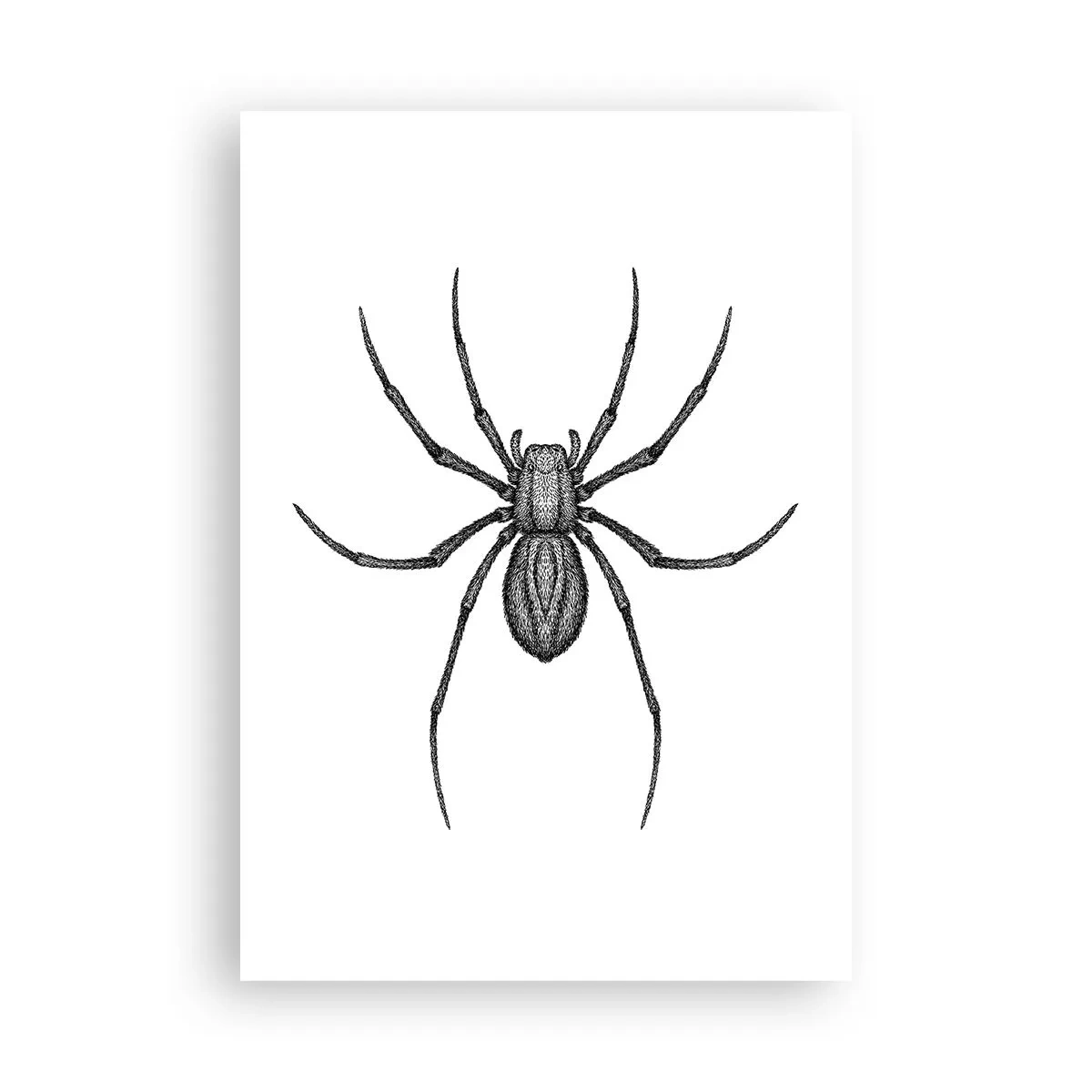 Poster - Verontrustende precisie - 70x100 cm