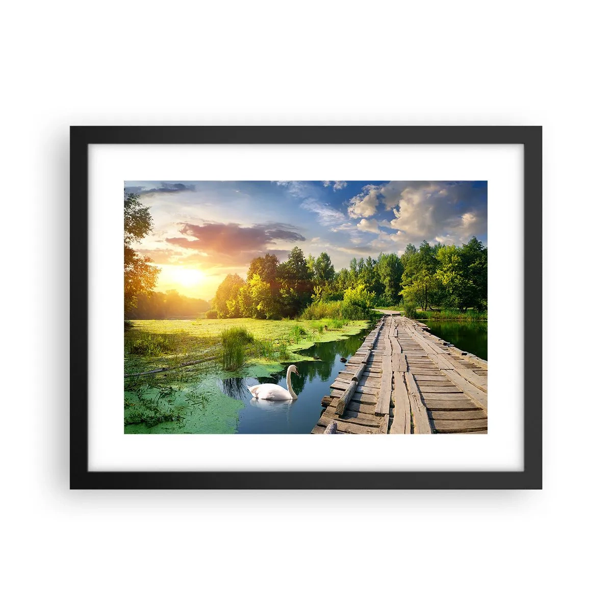 Poster in een zwarte lijst - Zomer, zomer overal - 40x30 cm