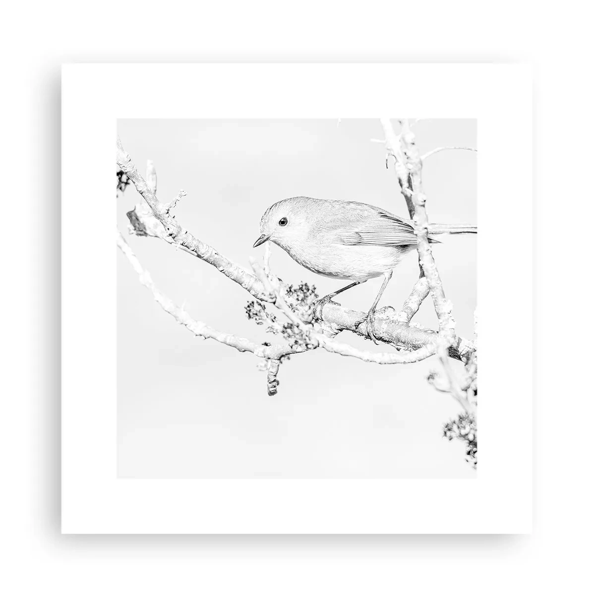 Poster - Winterochtend - 30x30 cm