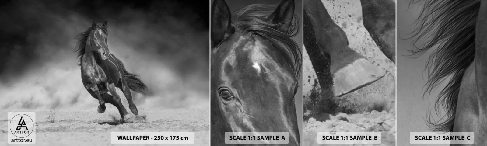 Fotobehang Staaltje Standard Eco - De emir zelf waardig - Paard, Dieren, Natuur - 100x30 cm