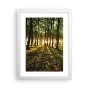 Poster in een witte lijst - Foto van de hele lente - 30x40 cm