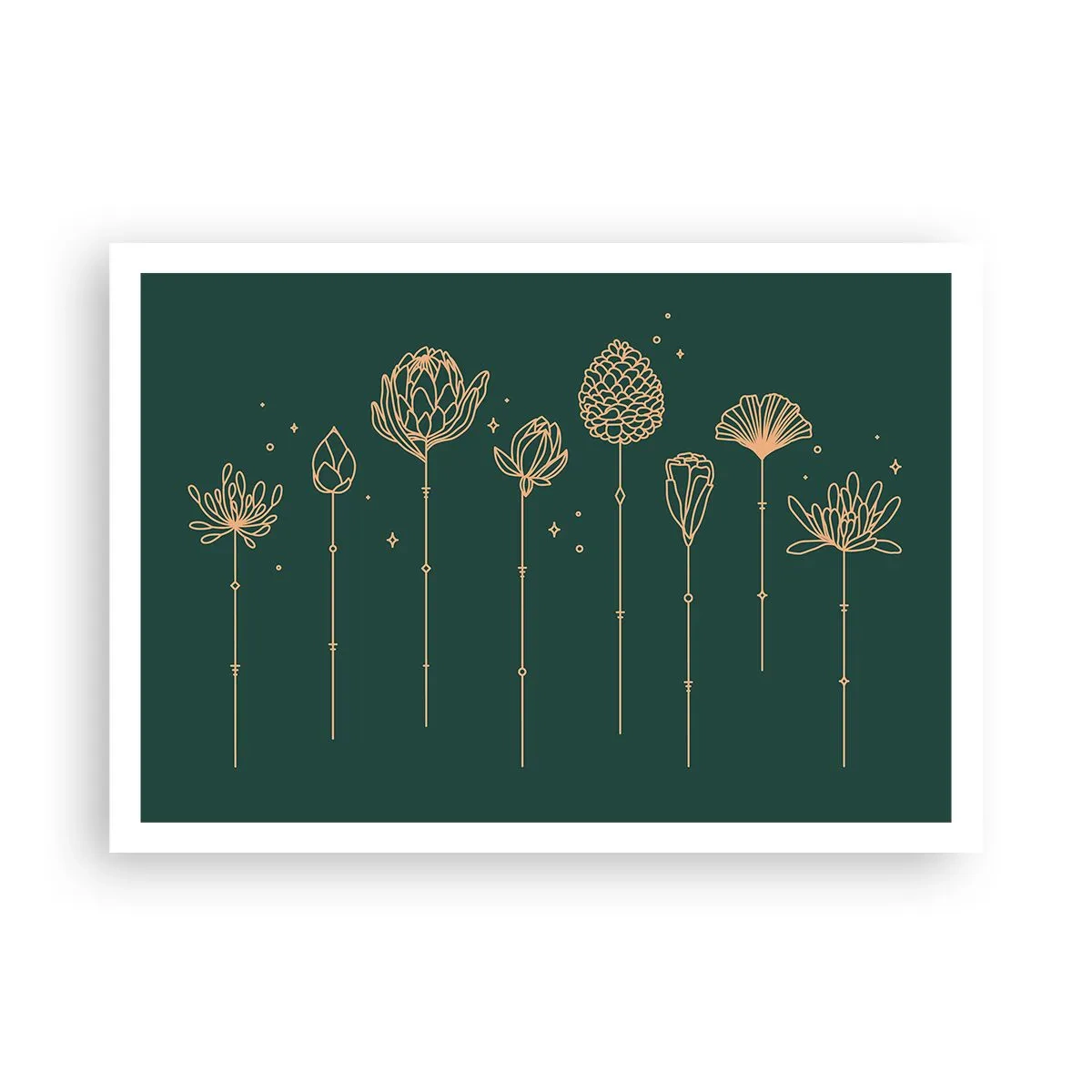 Poster - Kruidenfamiie / Familie Ziółkowsi ?? - 100x70 cm