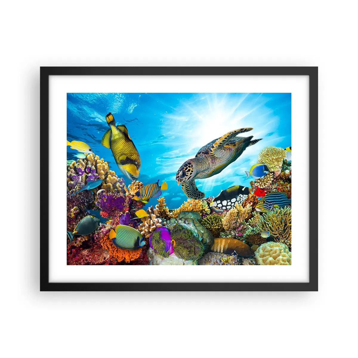 Poster in een zwarte lijst - Koraalpromenade - 50x40 cm
