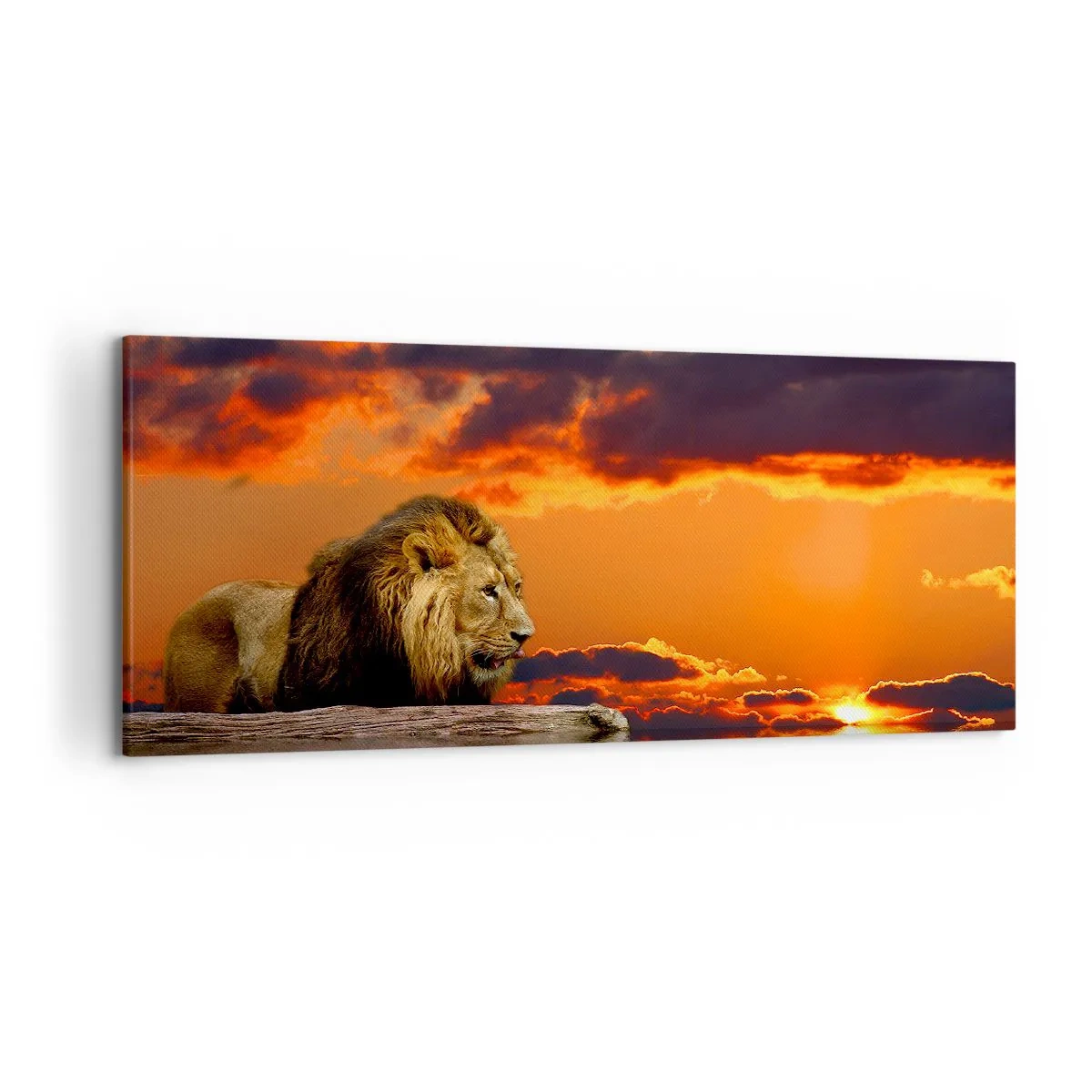 Schilderen op canvas - Koning van de natuur - 120x50 cm