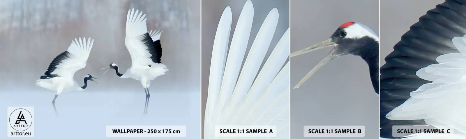 Fotobehang Monster Zelfklevend Deluxe Sticker - Dans in de mist - Winter, Vogel, Natuur - 100x30 cm