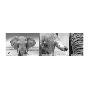 Fotobehang Monster Zelfklevend Deluxe Sticker - Welkom in mijn wereld - Olifant, Afrika, Dieren - 100x30 cm