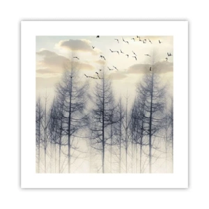 Poster - Bosgeesten - 40x40 cm