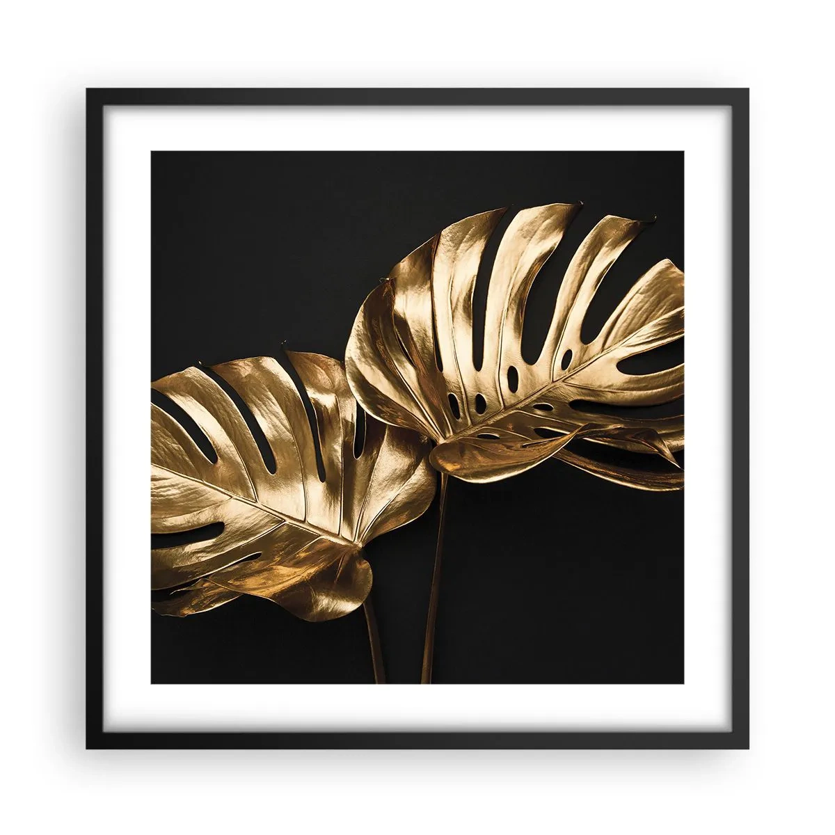 Poster in een zwarte lijst - De schatten van de natuur - 50x50 cm