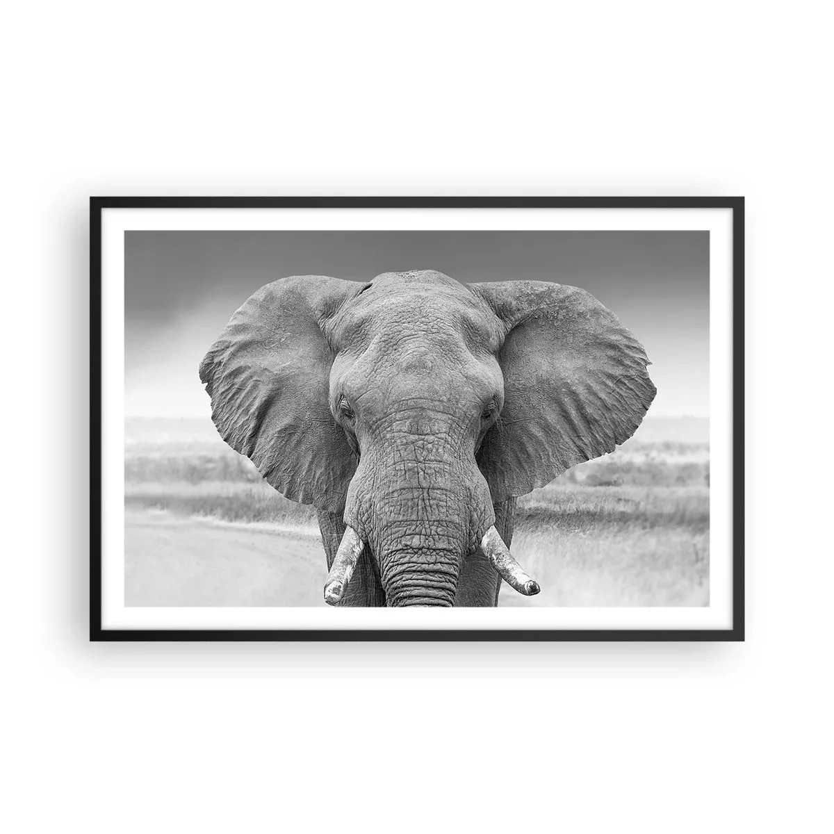 Poster in een zwarte lijst - Welkom in mijn wereld - 91x61 cm