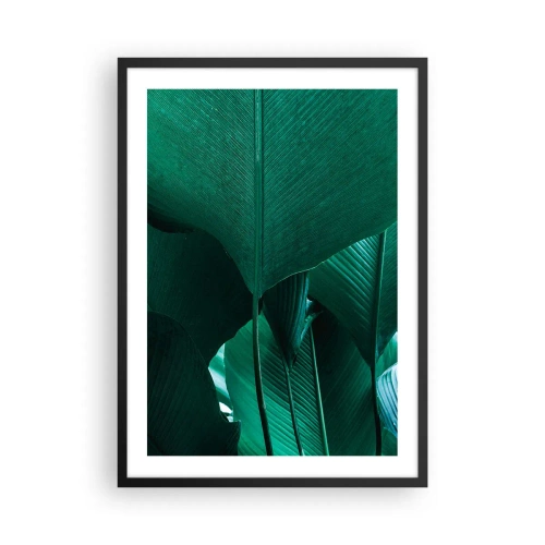 Poster in een zwarte lijst - Close-up van grote groene bladeren met structuur en textuur. - 50x70cm - Naar het licht gekeerd - Moderne wanddecoratie voor woonkamer en slaapkamer ARTTOR