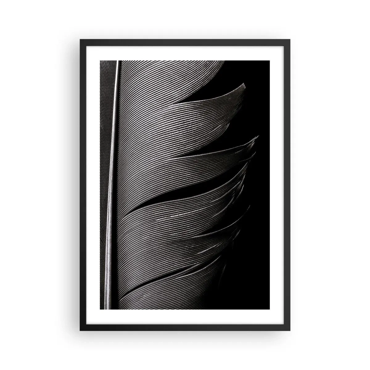 Poster in een zwarte lijst - Een minimalistische versie van een veer in zwart-wit - 50x70cm - Een veer - prachtig ontwerp - Moderne wanddecoratie voor woonkamer en slaapkamer ARTTOR