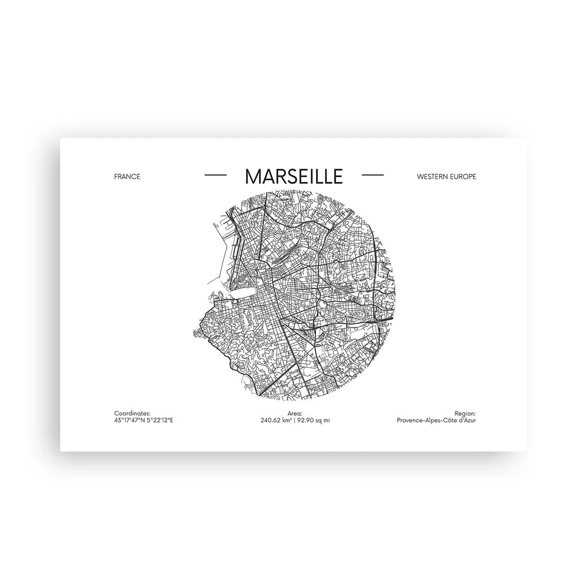 Poster - Anatomie van Marseille - 91x61 cm