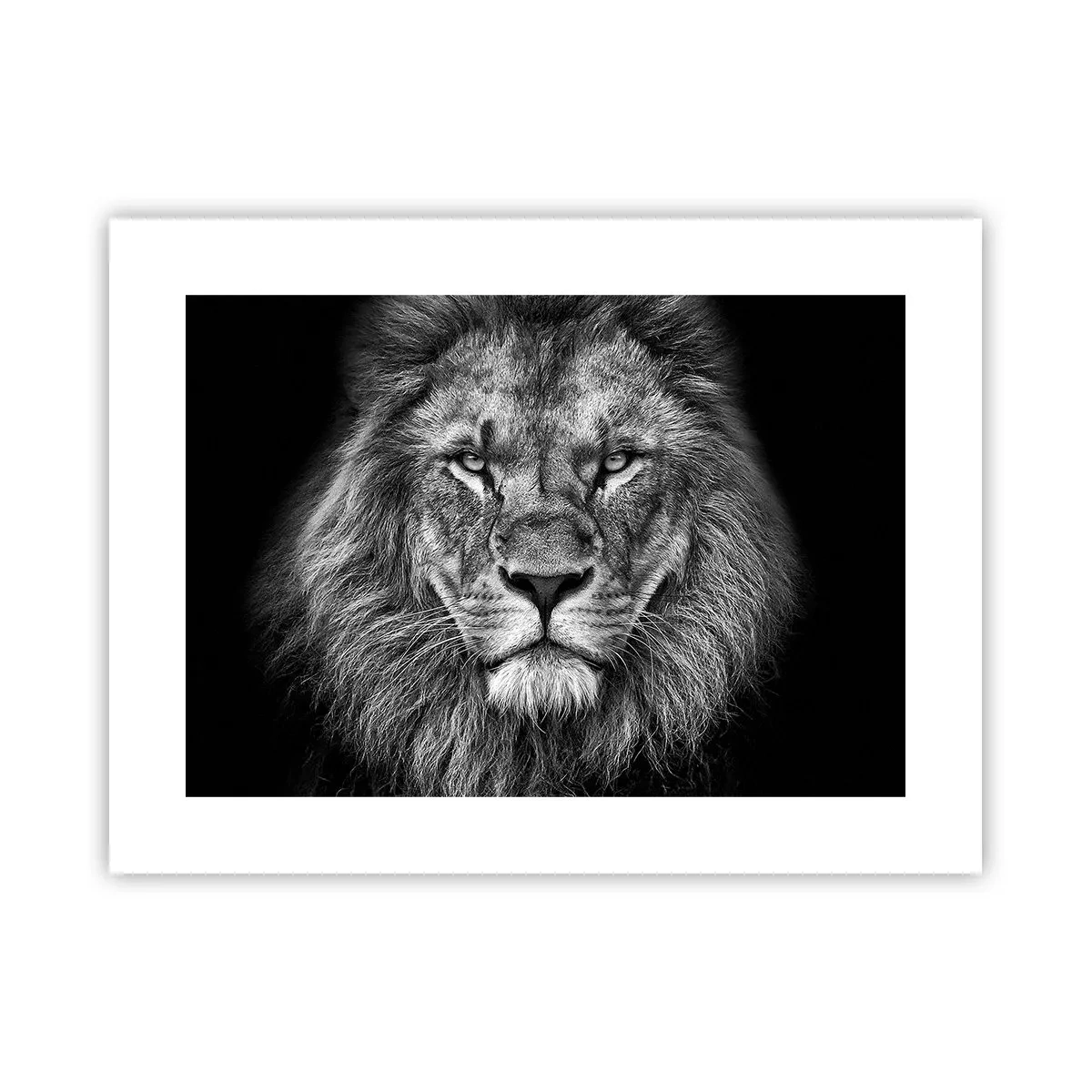 Poster - In een kroningskleed - 40x30 cm