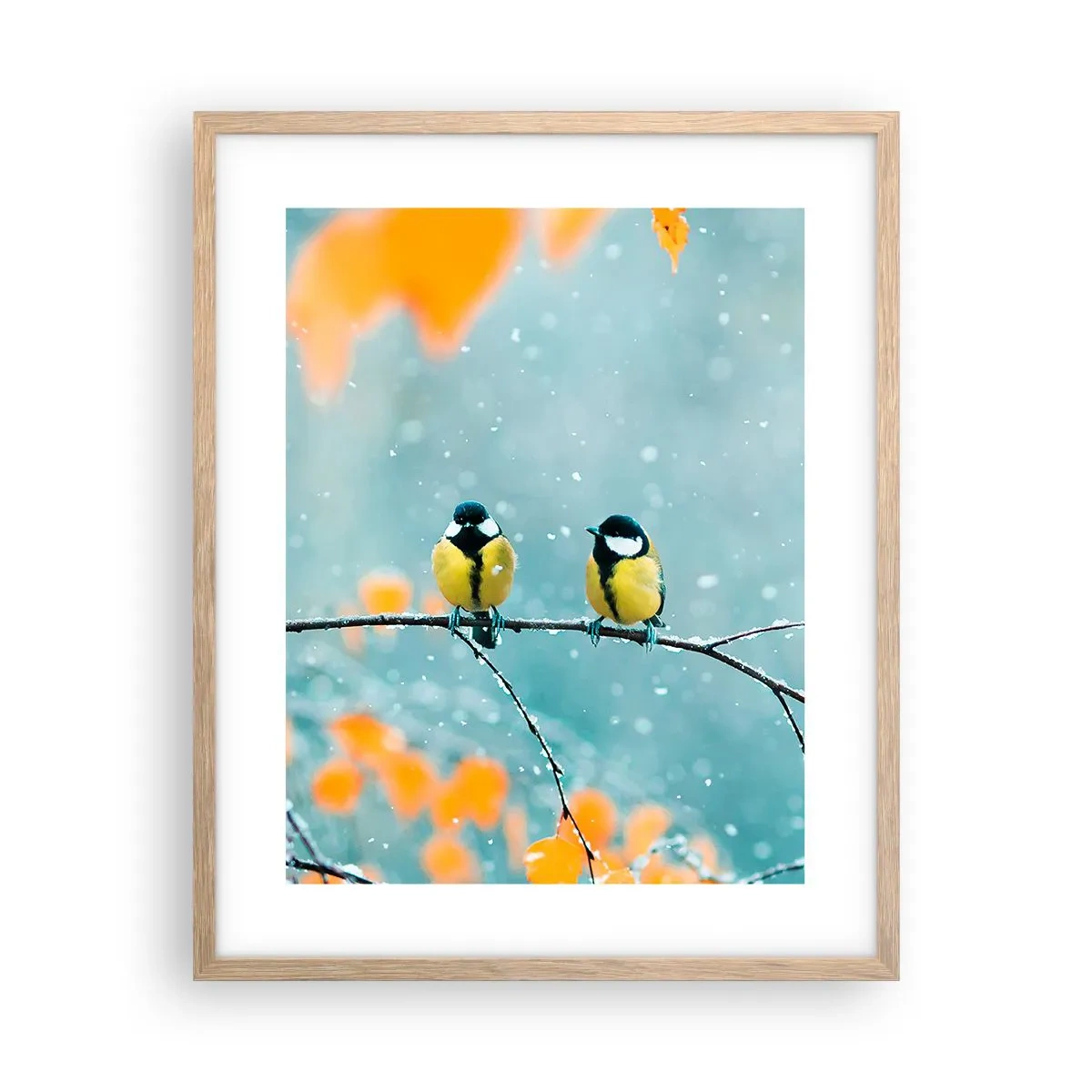 Een poster in een licht eiken lijst - Vogelroddel - 40x50 cm