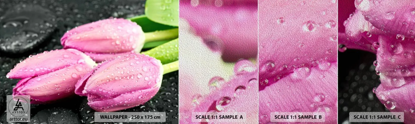 Fotobehang Monster Premium Sand - Lila drie op een zwarte steen - Bloemen, Tulpen, Boeket bloemen - 100x30 cm