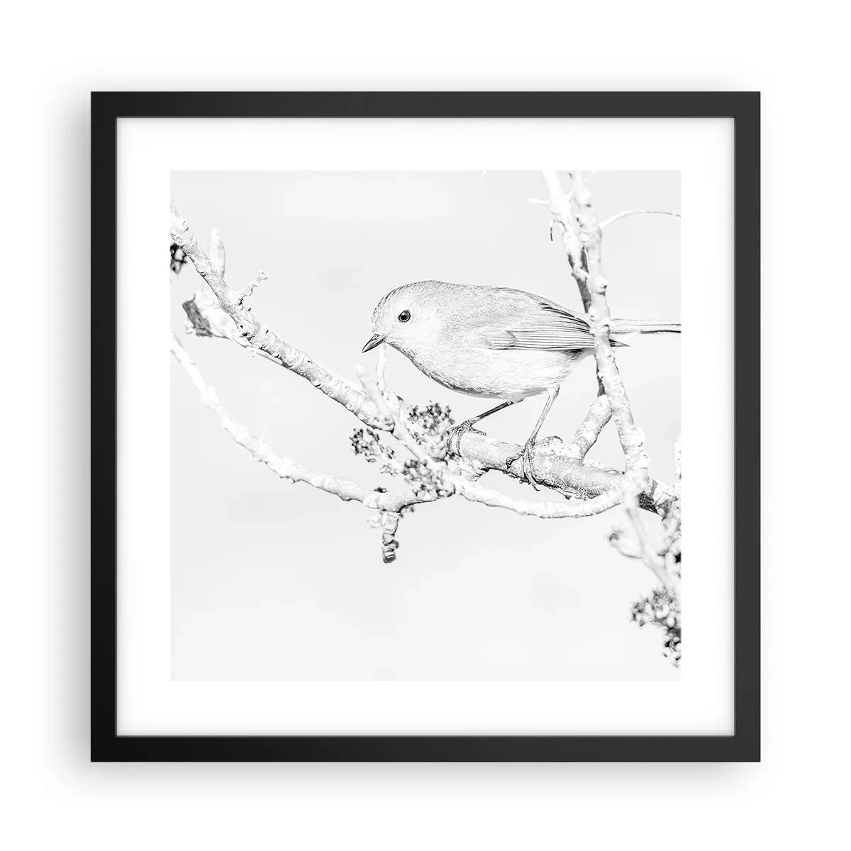 Poster in een zwarte lijst - Winterochtend - 40x40 cm