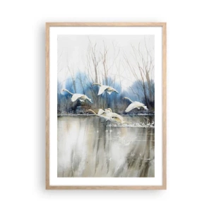Een poster in een licht eiken lijst - Zoals in het sprookje over wilde zwanen - 50x70 cm