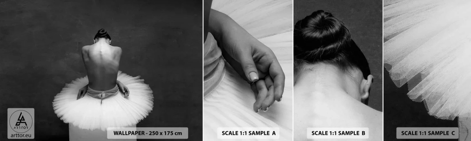 Fotobehang Staaltje Standard Eco - Het bloeit gewoon - Ballerina, Dans, Ballet - 100x30 cm