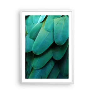 Poster in een witte lijst - Papegaaiachtige precisie - 50x70 cm