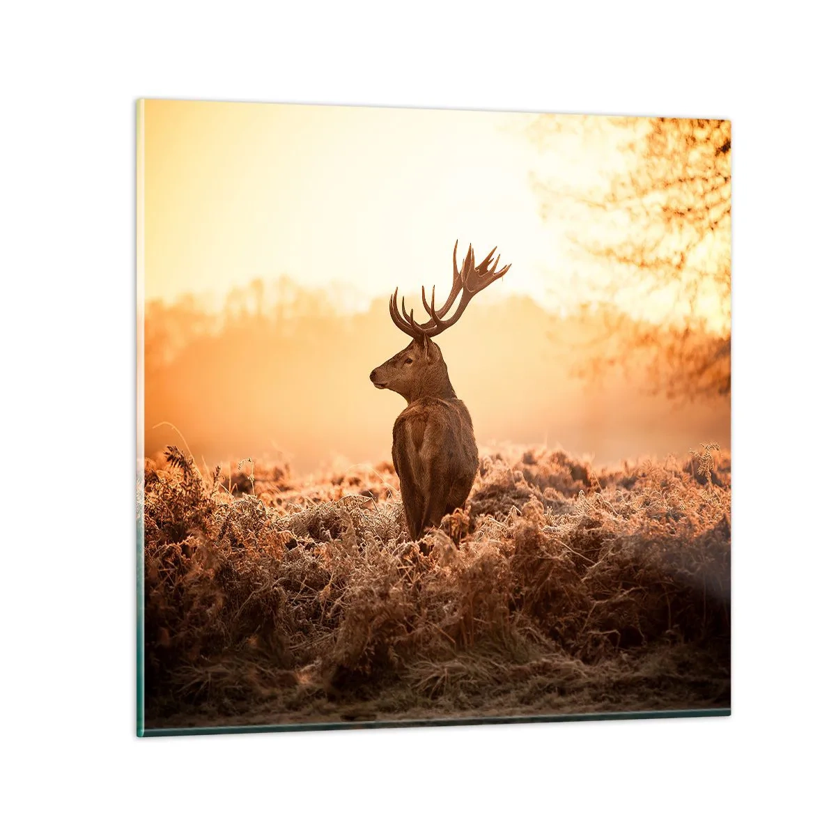 Schilderen op glas - Heer van het landgoed - 50x50 cm