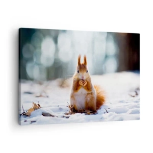 Schilderen op canvas - Een eekhoorn in een winterlandschap - 70x50cm - Waar kijk je naar? - Moderne wanddecoratie voor woonkamer en slaapkamer ARTTOR
