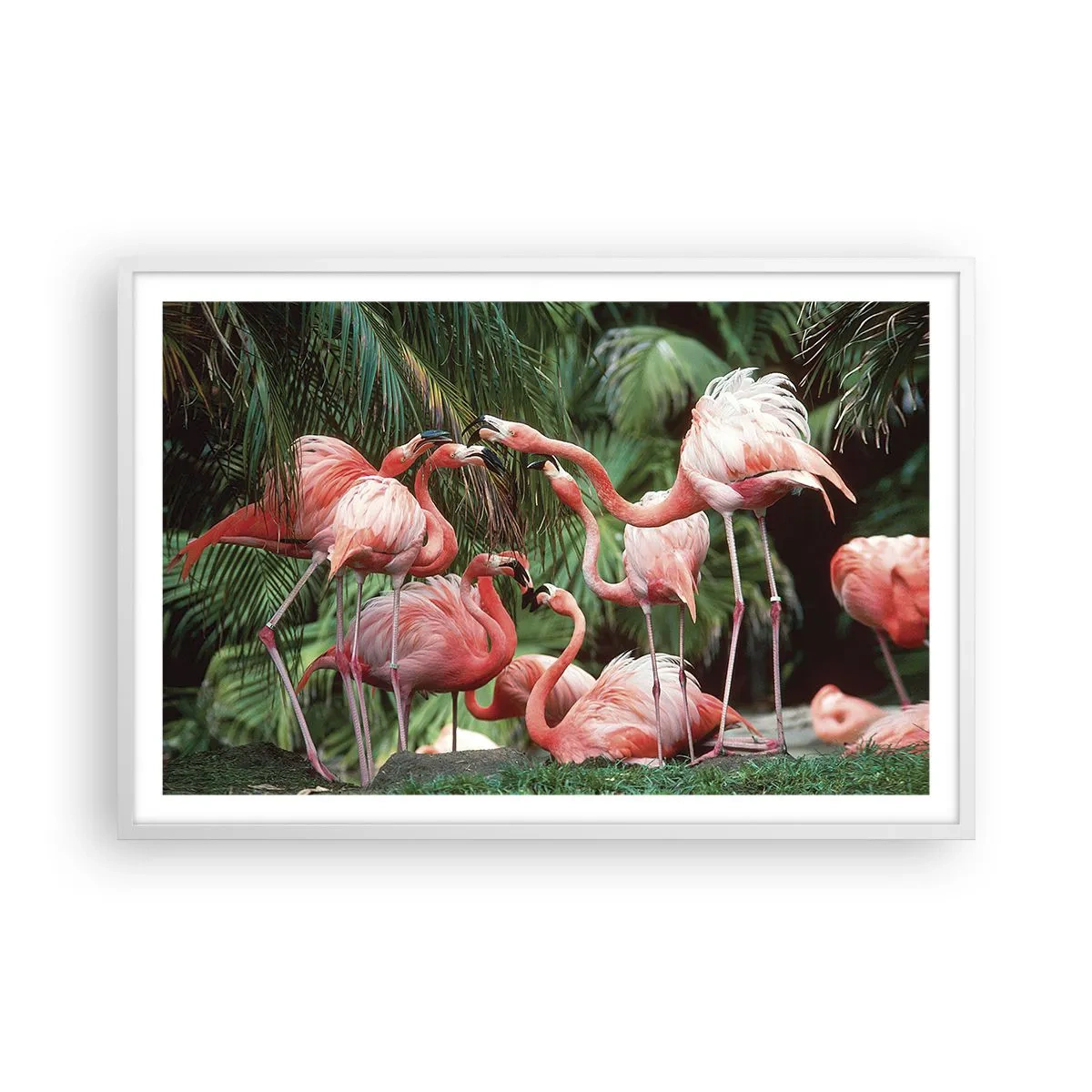 Poster in een witte lijst - Middag roddels - 91x61 cm