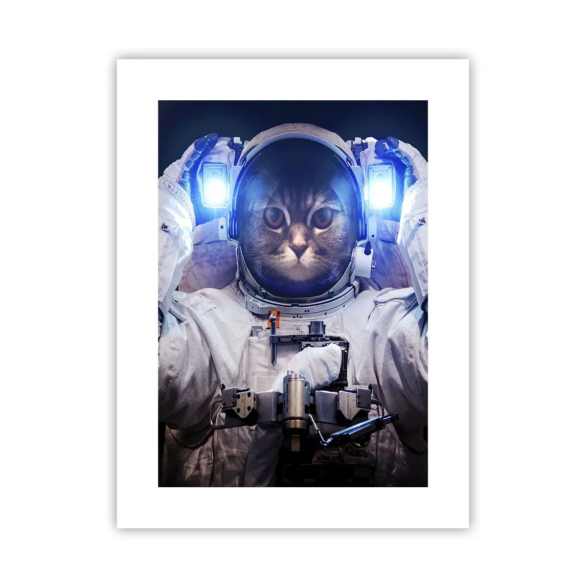 Poster - Houston, je hebt een probleem - 30x40 cm
