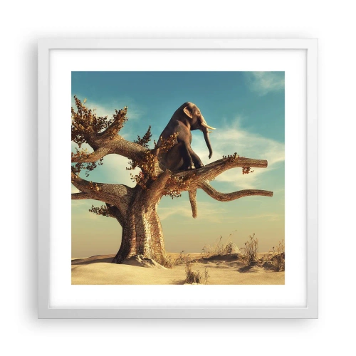 Poster in een witte lijst - Een nieuw gezichtspunt - 40x40 cm